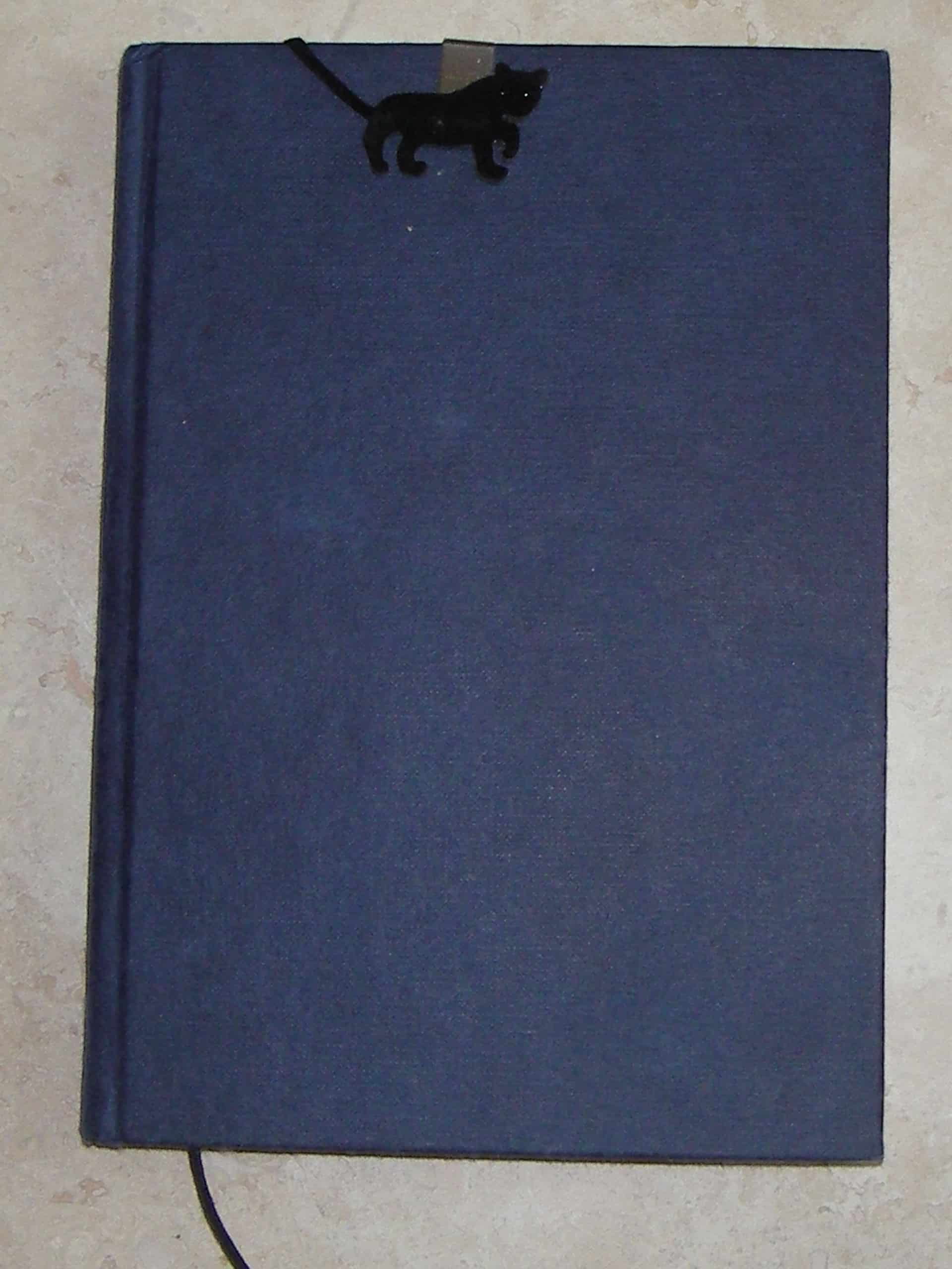 a blue hardback notebook