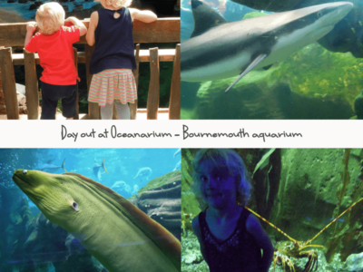 Oceanarium: is Bournemouth aquarium child friendly?
