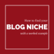 how to find your blog niche