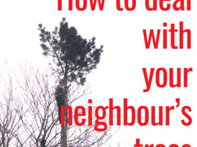 How to deal with your neighbour's trees