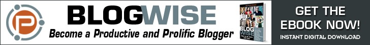 Blogwise ebook review