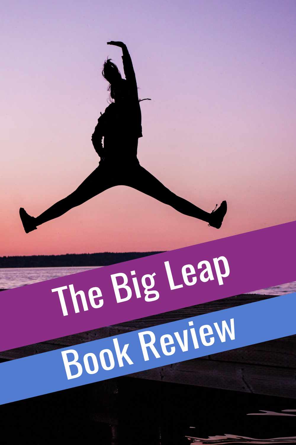 social media image that says The Big Leap Book Review